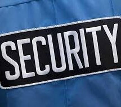 DOMESTIC SECURITY SERVICES